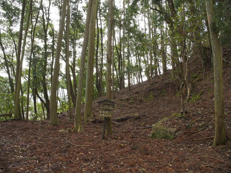 File:Goryu21.jpg