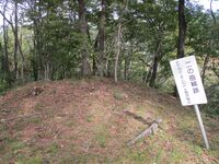 Hikijou (14).JPG