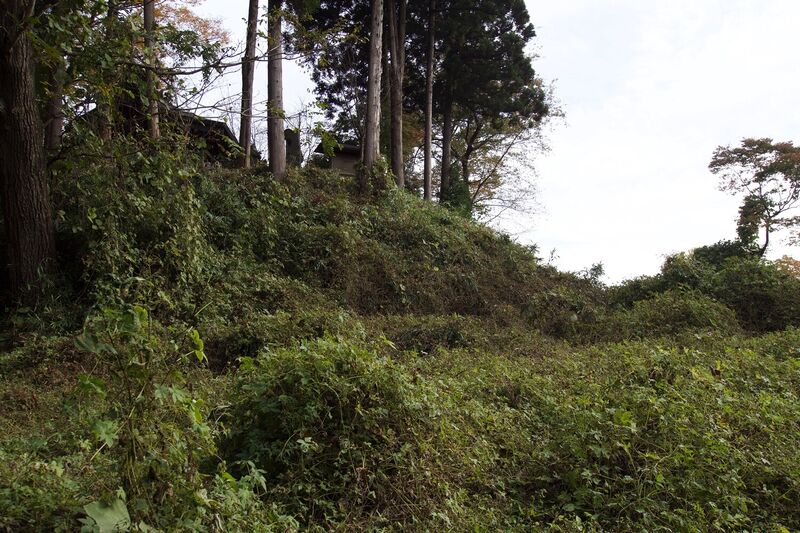 File:Narisawa2.jpg