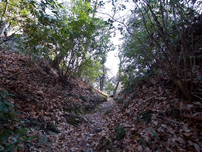 File:Sawayama3.jpg