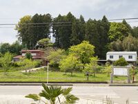 Shirahata1.jpg