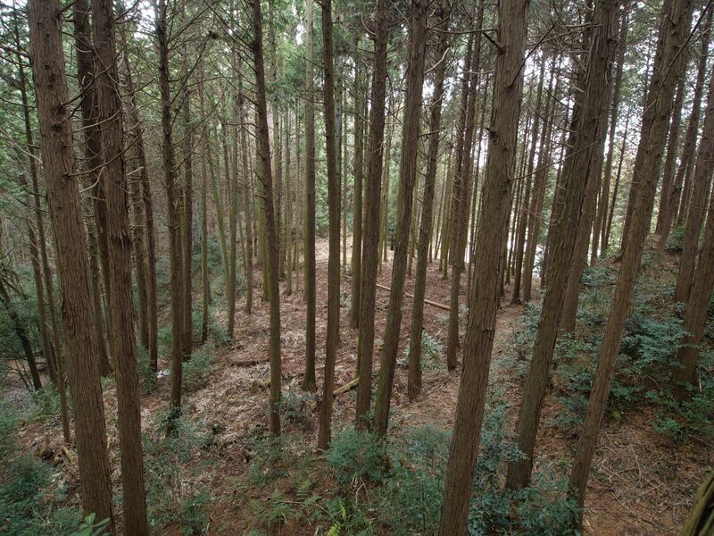 File:Wadakoka18.jpg