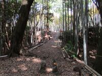 Iwazujou (1).jpg