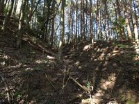 Kokashingushi9.jpg