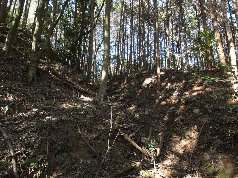 File:Kokashingushi9.jpg