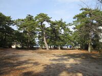 ObamahanMatsubaraDaiba (2).JPG