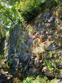 OgurayamajouART (4).JPG