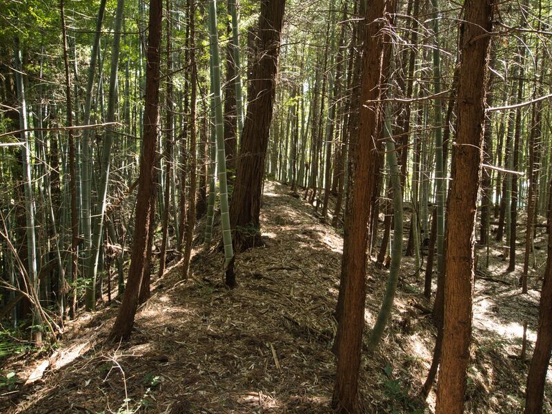 File:Shimoyamakita6.jpg