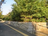 SuzakiDaiba (1).JPG