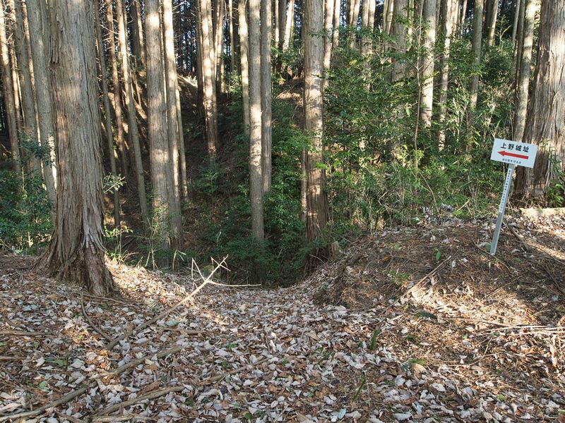 File:Uenokoka2.jpg