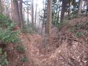 筑摩竹田城11.JPG