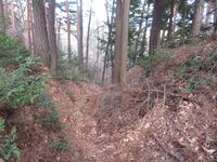 筑摩竹田城11.JPG