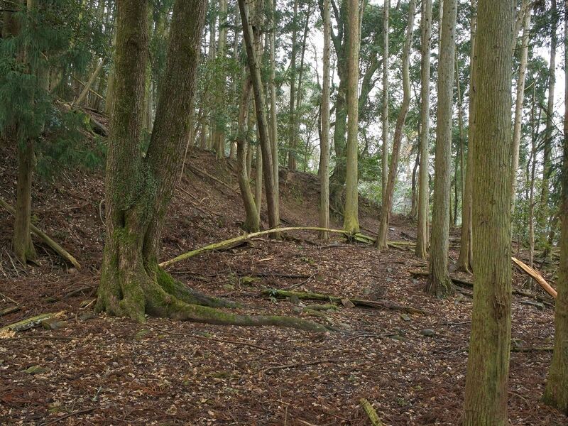 File:Goryu15.jpg