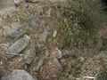 Thumbnail for version as of 22:24, 9 May 2023