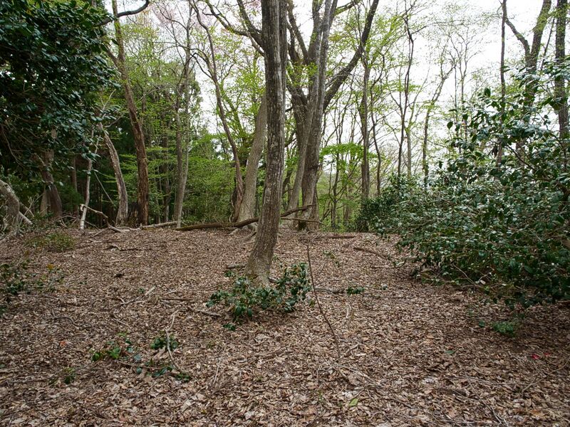 File:Imaichikami14.jpg