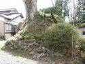 InaSokurajou (2).JPG