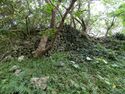 Komesu Castle Ray 7.jpg