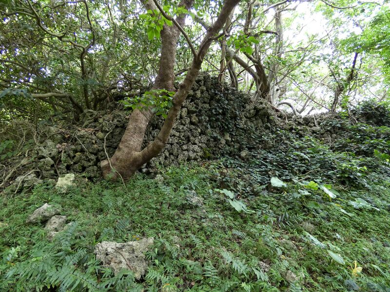 File:Komesu Castle Ray 7.jpg