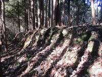 Nakahokkyuujou (4).jpg