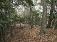 Nakaokyoto5.jpg