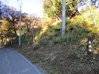NishinahonjouMorijou (7).JPG