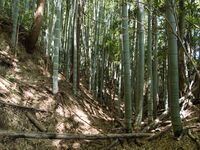 Shimoyamakita17.jpg