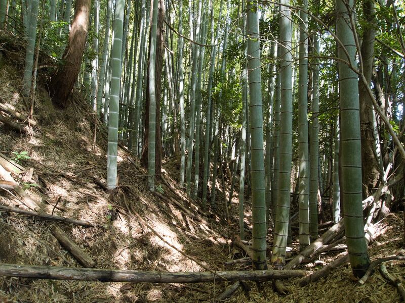 File:Shimoyamakita17.jpg
