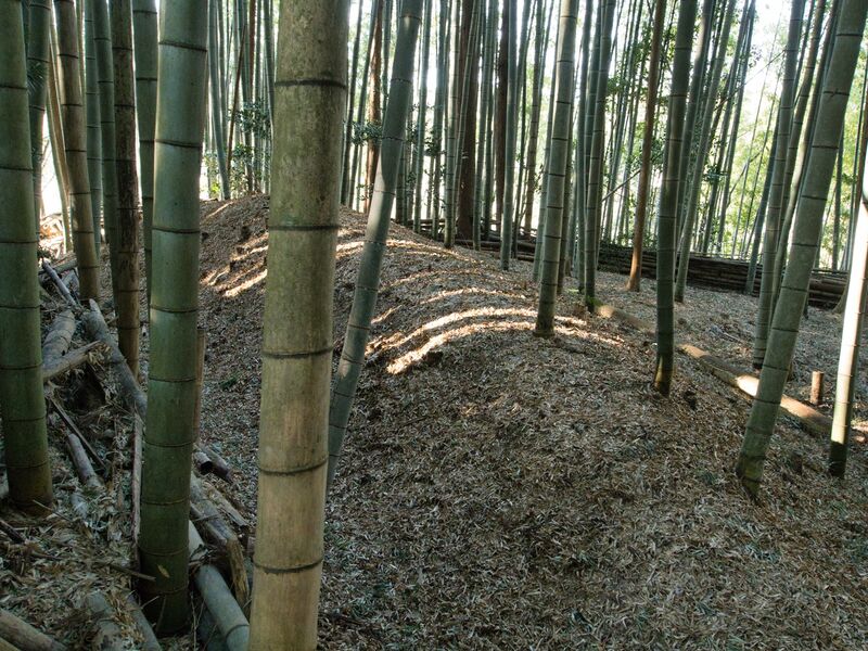 File:Uchikoshikoka11.jpg
