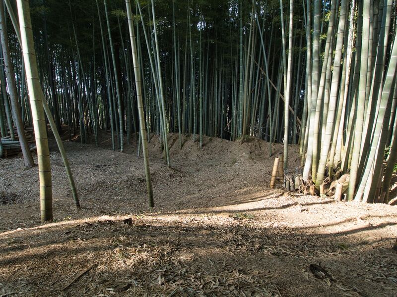 File:Uchikoshikoka6.jpg