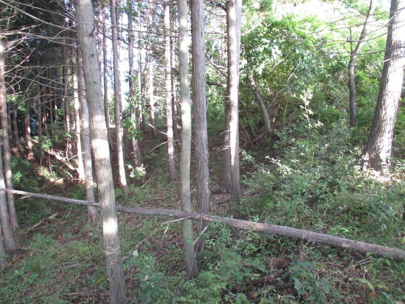 File:AzumiNakajimajou (2).jpg