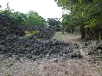 Chinaha Castle RaymondW 806.jpg
