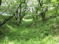 KaiKoyamajou (5).JPG