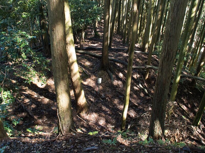 File:Kogaminekyoto19.jpg