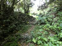 Komesu Castle Ray 5.jpg