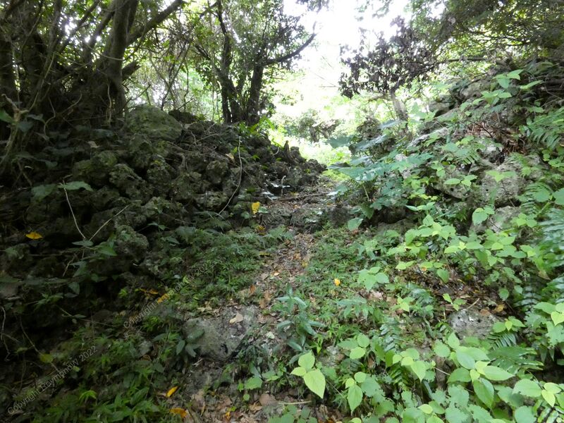 File:Komesu Castle Ray 5.jpg
