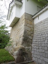 Koromo (3).JPG