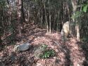 Oiwakehikagejou (1).jpg