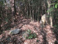 Oiwakehikagejou (1).jpg