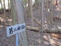 Ougidairayamajou (18).JPG