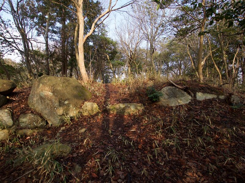 File:Sasou25.jpg