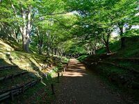 Ueda13.jpg