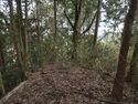 Wadashi3koka10.jpg
