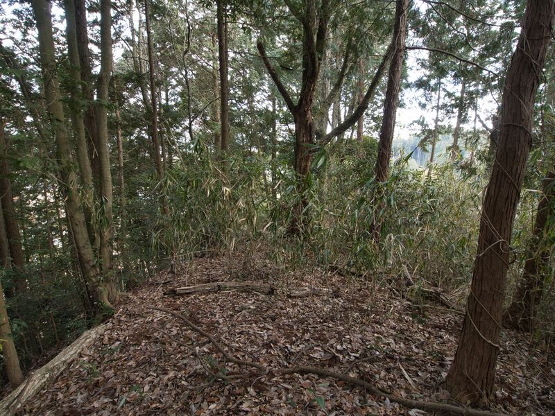 File:Wadashi3koka10.jpg