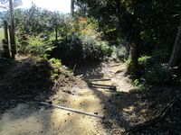 IoujiToride (3).JPG