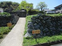 MikawaFujikawajou (3).jpg