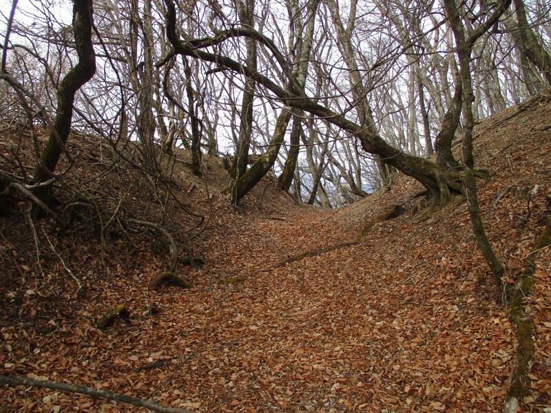 File:MisakajouB (3).jpg