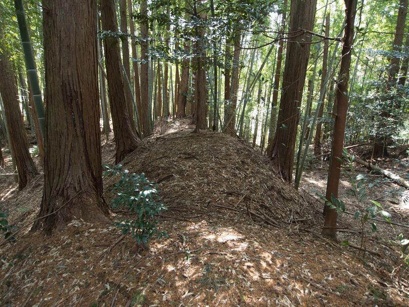 File:Mochizukishikoka17.jpg