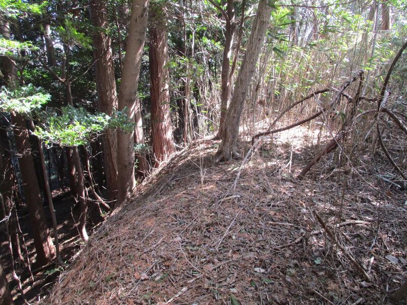 File:NukataChausuyamajou (27).jpg