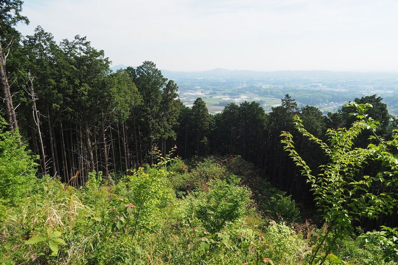 File:Tage5.jpg