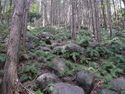 Usami nakoyama quarry17.jpg